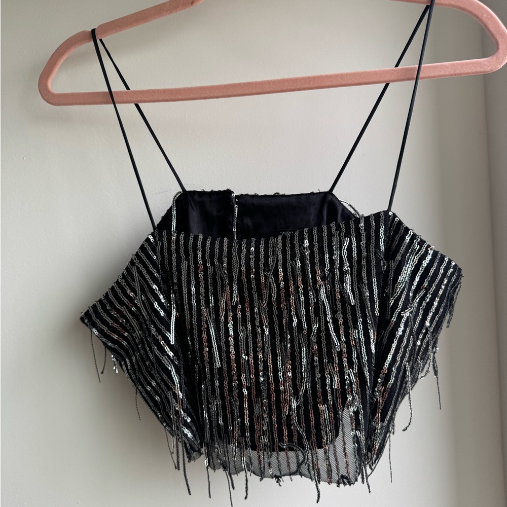 NWOT Zara Cropped Sequin Top